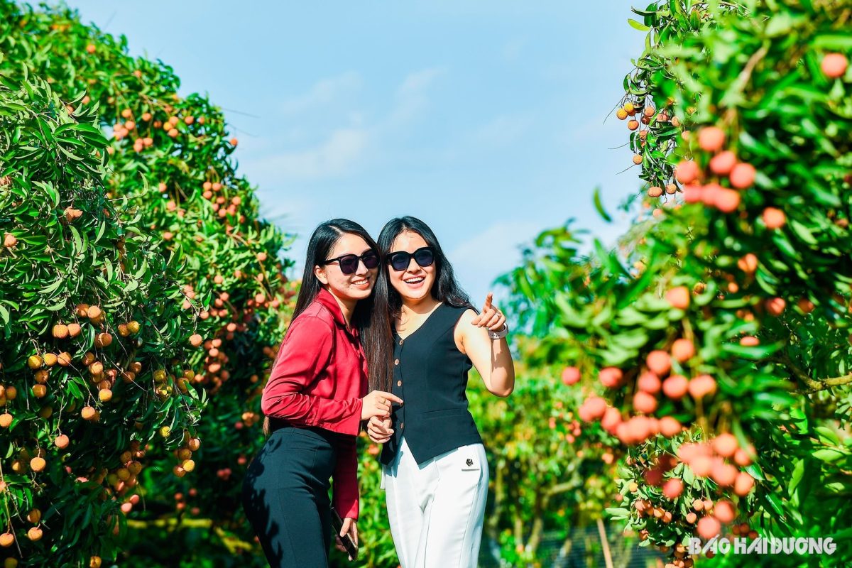 Các chị em lưu lại khoảnh khắc đẹp với vải thiều đồng mẩn thanh hà